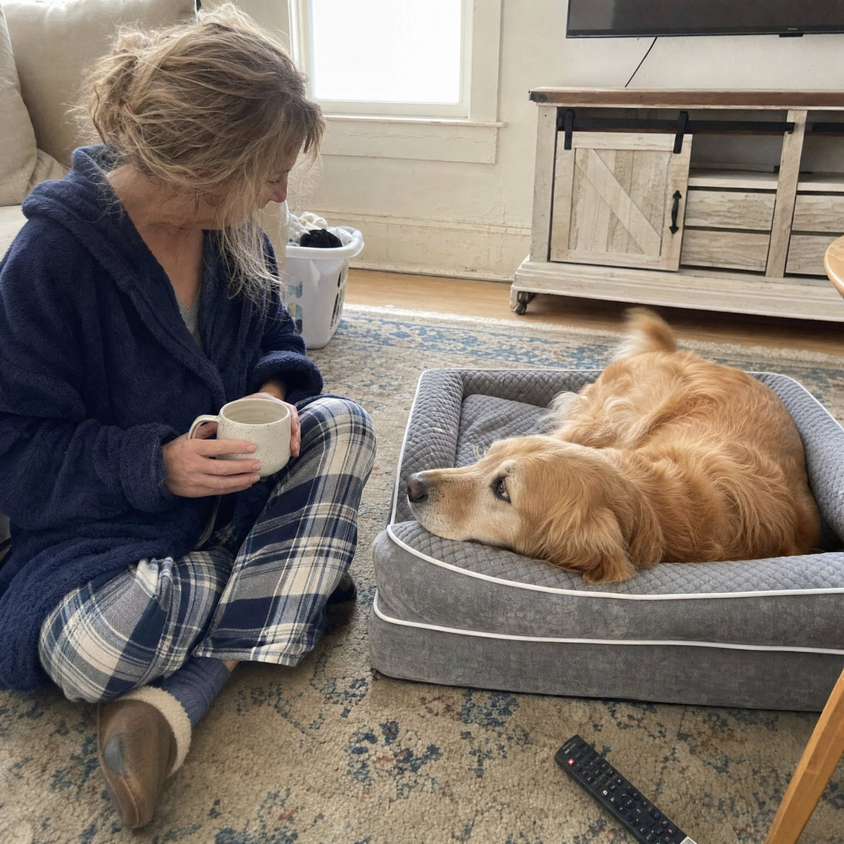 A senior Golden Retriever resting on the grey bed beside his owner, who sits on the rug with a coffee