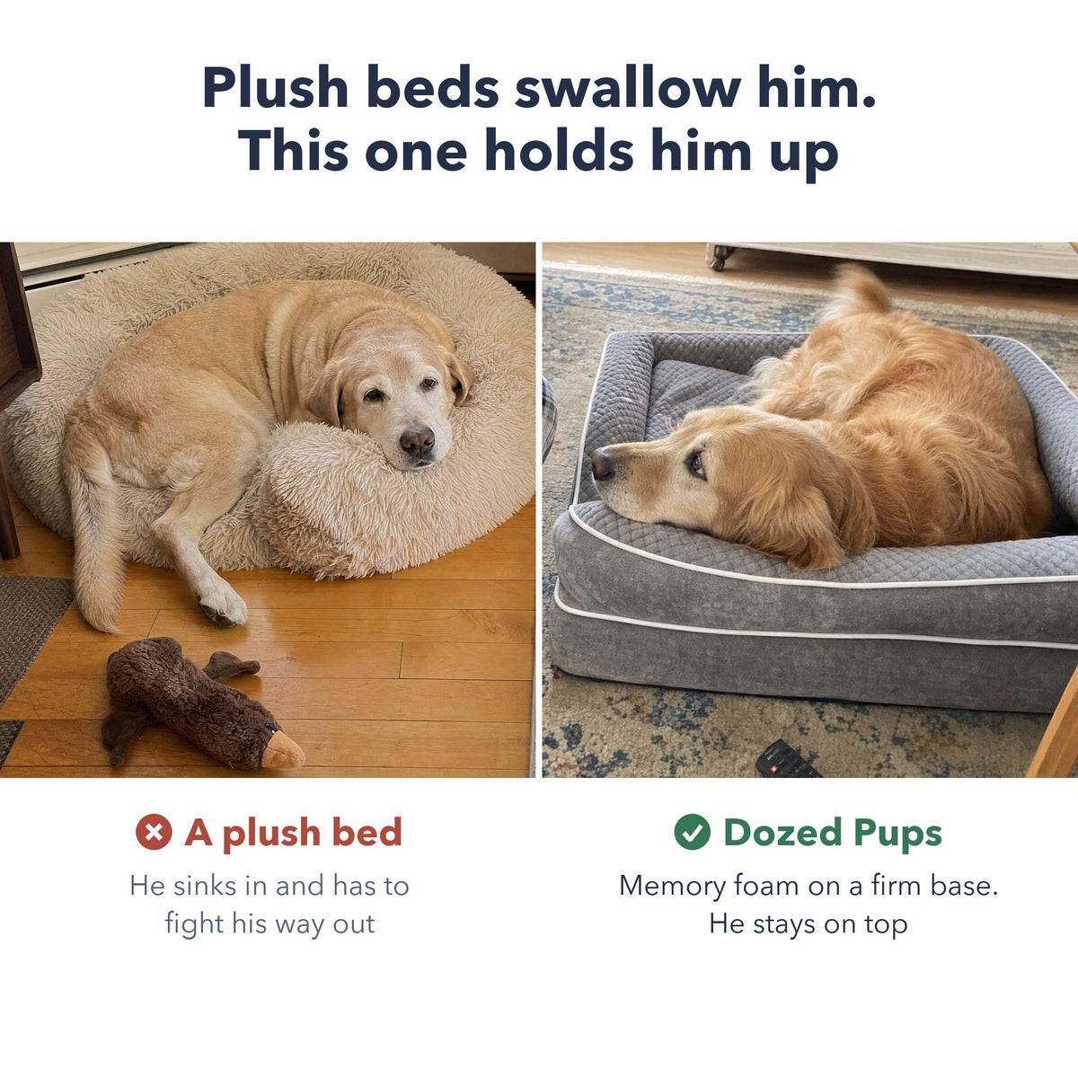A senior Lab sunk into a plush donut bed next to a senior Golden lying on top of the Dozed Pups Bed