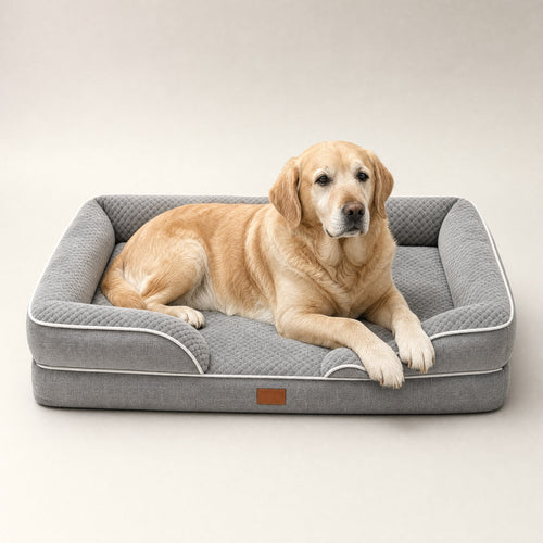 The grey Dozed Pups Bed with a senior Labrador lying on it