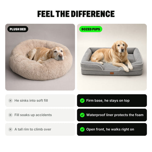 Feel the difference: a dog sinking into a plush bed next to a dog on top of the Dozed Pups Bed